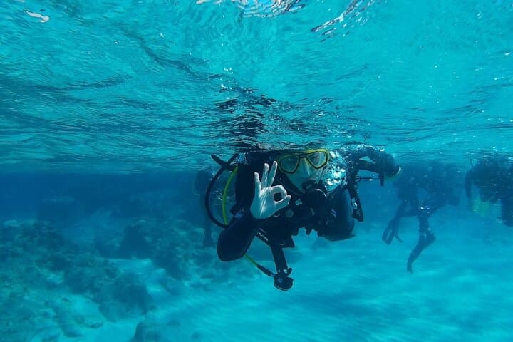 Discover Scuba Diving in Chania: Beginner-Friendly dives off Crete photo 3