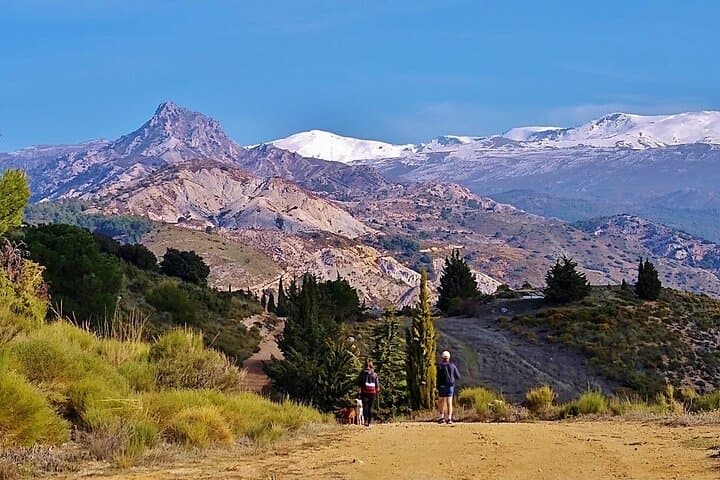 Sunset Hike & Summit Sierra Nevada — Private Dog-Friendly Tour photo 5