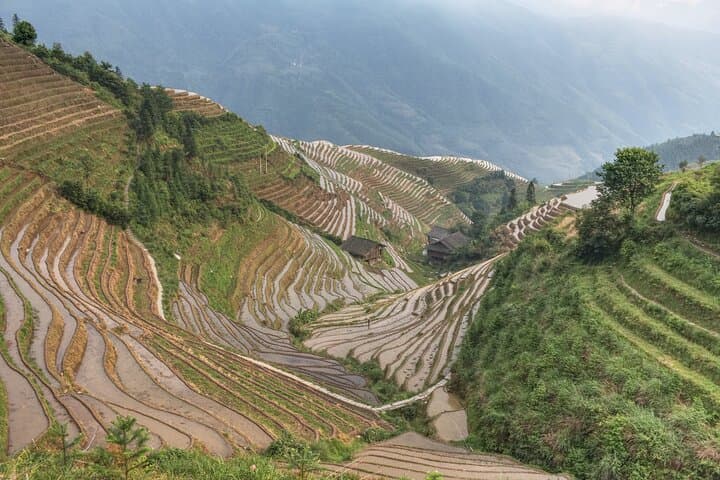 Longji (Longsheng) Rice Terraces — Full-Day Guide to the Dragon's Backbone photo 6