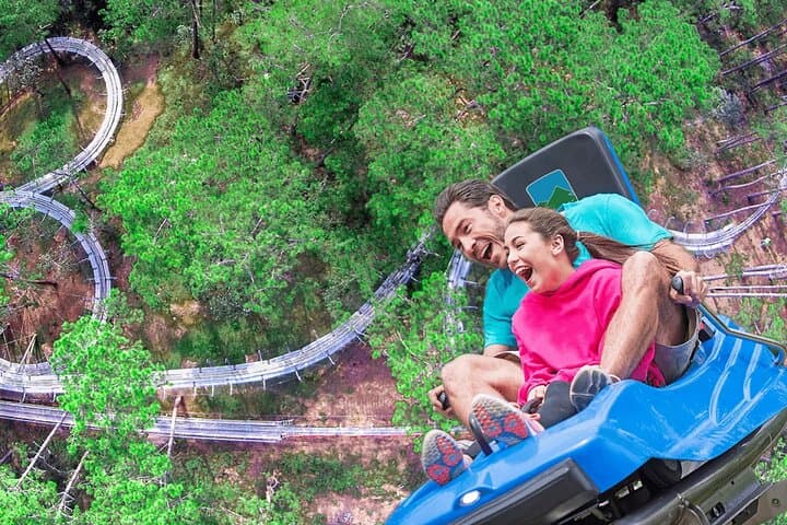 Dalat VIP Private City & Waterfall Tour — Cable Car, Alpine Coaster & Zen Monastery