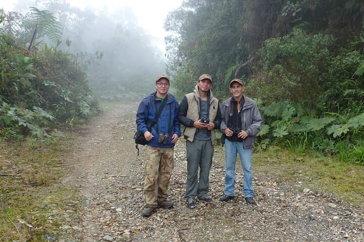 Birdwatching from Cuenca to Gualaceo: Tinajillas Cloud Forest Day Tour photo 6