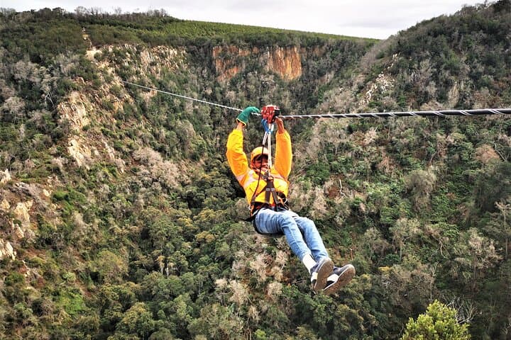 Knysna Ziplines: Harkerville's High-Octane Zipline Adventure on the Garden Route photo 2