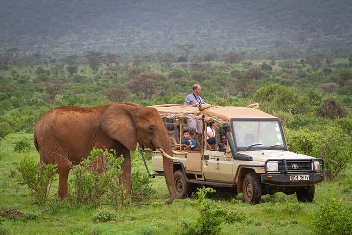 3-Day Samburu Luxury Safari: Private Game Drives Along the Ewaso Nyiro