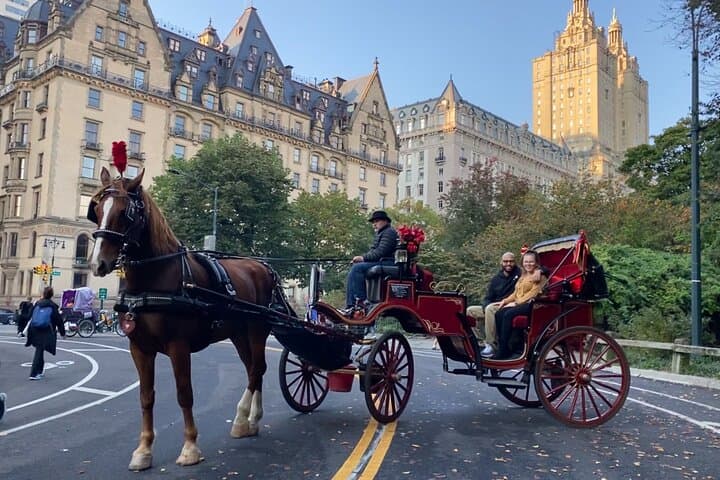 Central Park Horse-Drawn Carriage Ride — 45-Min VIP Tour with Cherry Hill Photo Stop photo 5
