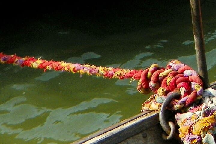Paddling Spike's River: Kayak the Nerul Mangroves in Goa photo 5
