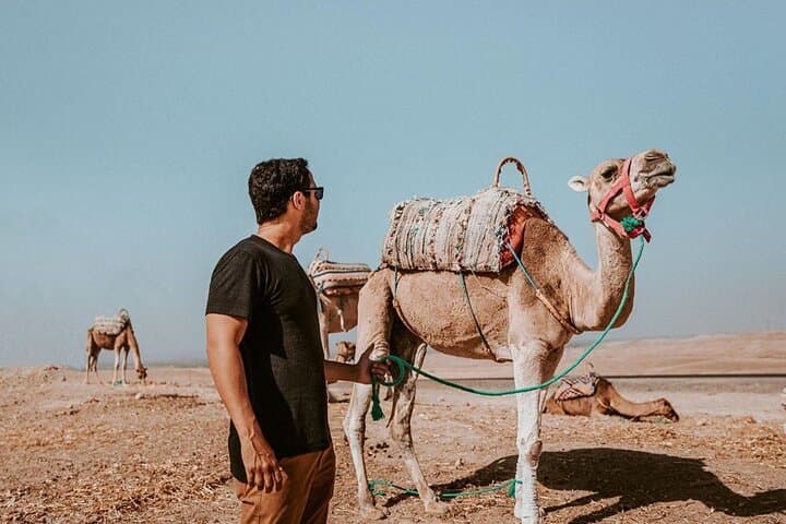 Agafay Desert Quad Biking, Camel Ride & Sunset Dinner from Marrakech photo 2