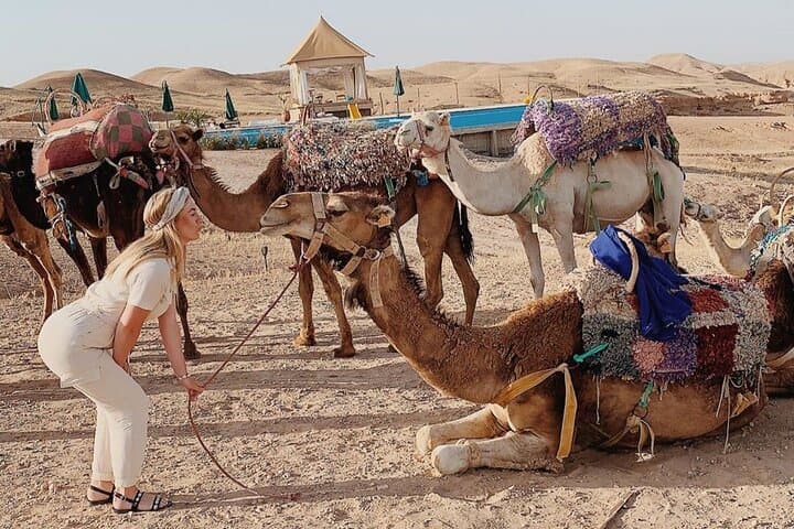 Agafay Desert Quad Biking, Camel Ride & Sunset Dinner from Marrakech photo 4