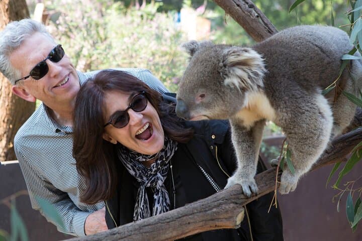 Yarra Valley Wine & Wildlife Private Day Tour from Melbourne photo 6