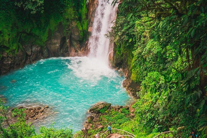 Río Celeste Walk: Day Hike to Tenorio Volcano National Park from La Fortuna photo 5