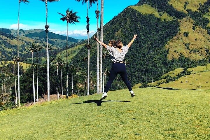 Cocora Valley Hike and Salento–Filandia Day Tour: Wax Palms, Coffee Culture & Viewpoints