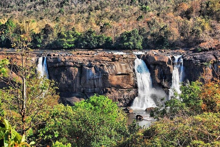 Athirapilly and Vazhachal Falls Day Trip from Kochi photo 5
