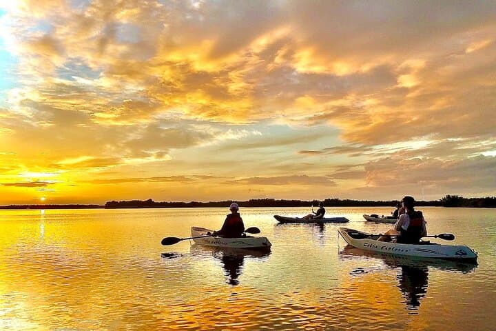 Sunset Kayak Mangrove Tunnels: Search for Dolphins & Manatees in Cocoa Beach