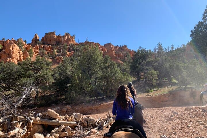Half-Day Horseback Ride Through Red Canyon Hoodoos — Ruby's Horseback Adventures