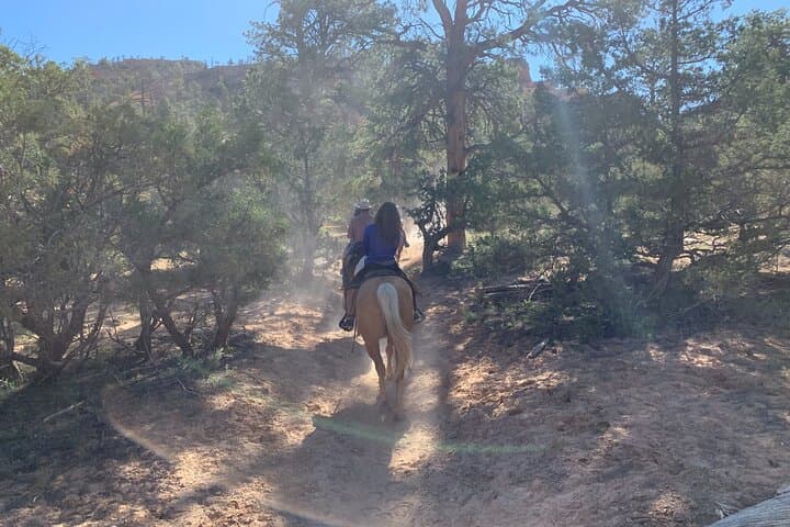 Half-Day Horseback Ride Through Red Canyon Hoodoos — Ruby's Horseback Adventures photo 3