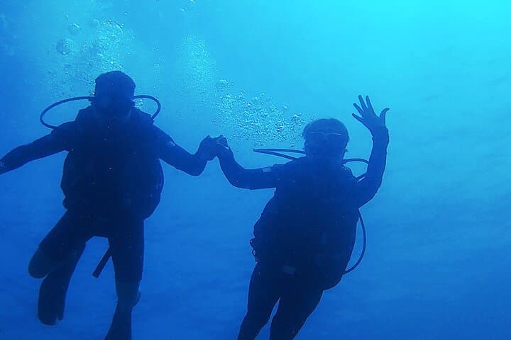Costa Maya Two-Tank Dive: Explore the Mesoamerican Reef off Mahahual photo 4