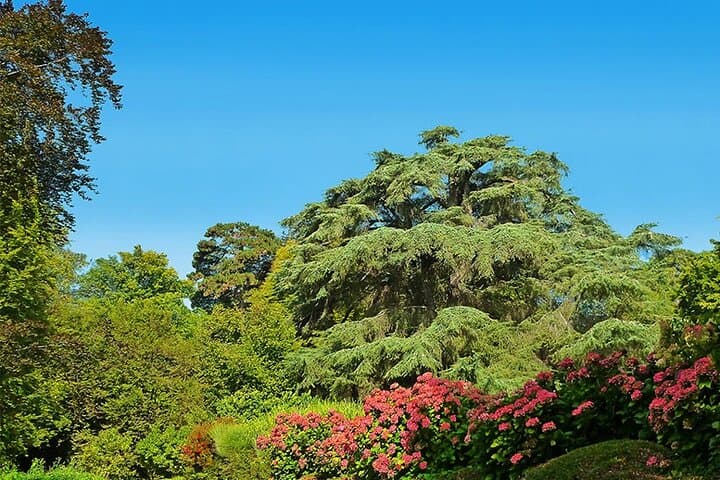 Beiteddine, Deir El Qamar & Barouk Cedars: Private Full-Day Tour from Beirut photo 5