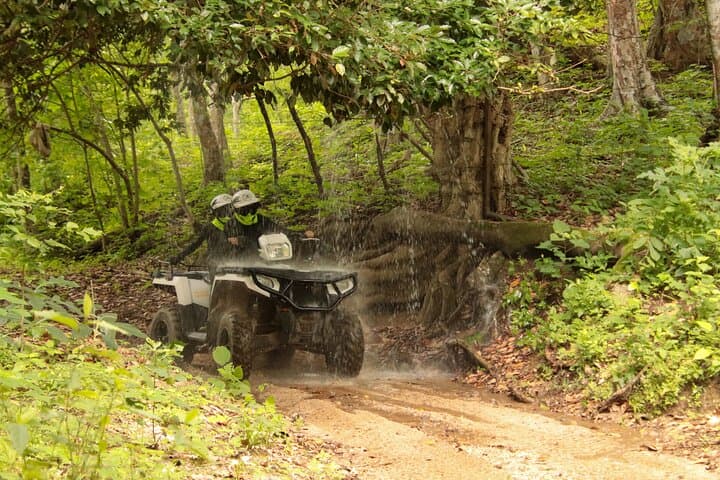 La Tigra Jungle ATV Tour — Sierra de Vallejo Tandem Ride near Bucerias photo 2