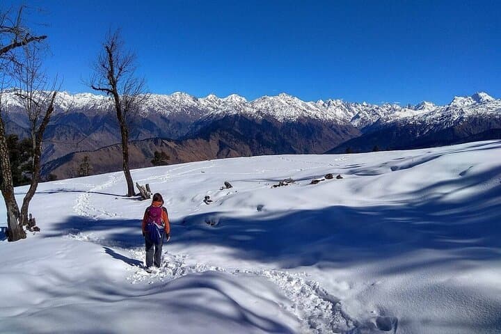 Kedarkantha Trek: 5-Day Sankri to Summit Camping Trek in Uttarakhand