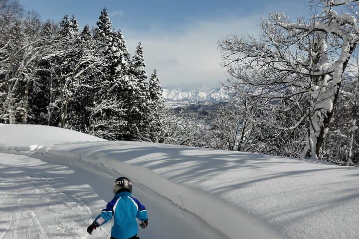 Master the Slopes: Full-Day Private Ski Lesson in Yuzawa, Japan photo 6