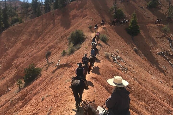 Ride Thunder Mountain: 4-Hour Horseback Adventure from Ruby's Inn, Utah photo 2