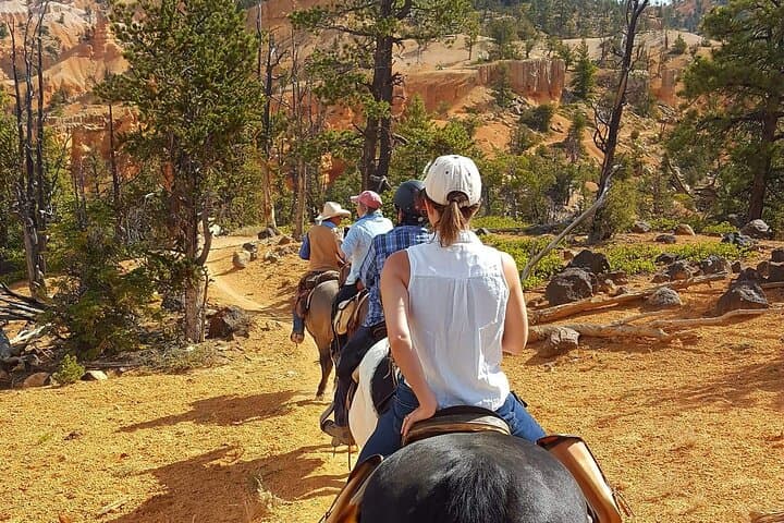Ride Thunder Mountain: 4-Hour Horseback Adventure from Ruby's Inn, Utah photo 6