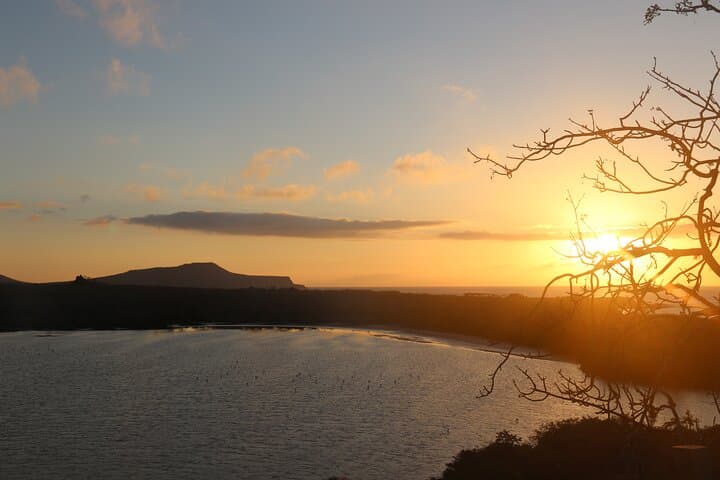 Floreana Island Day Trip: Snorkel, Fish & Explore Cormorant Point photo 5