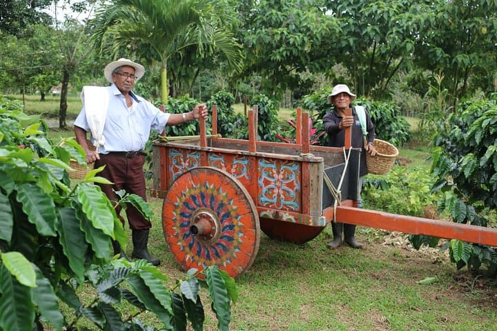 North Fields Coffee & Chocolate Tour — La Fortuna Farm Experience photo 5