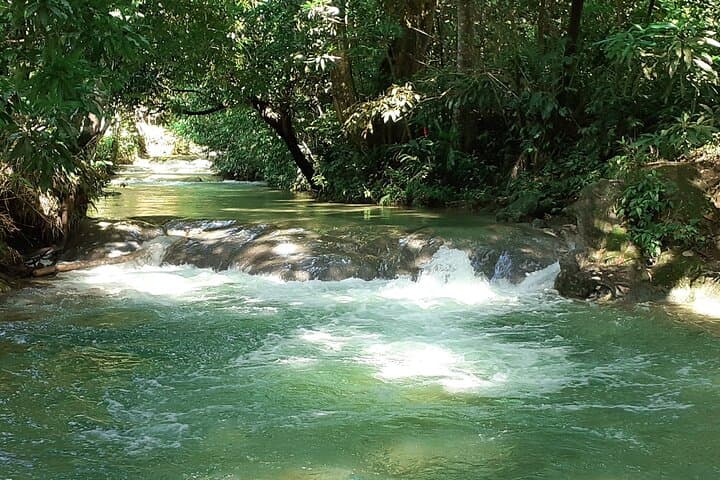 Mayfield Falls Nature Walk and Negril Hi-Light: Waterfalls, Cliffs, and Sunset at Rick’s Cafe photo 6