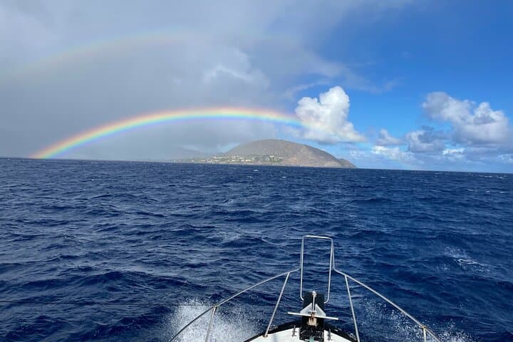 Private Whale Watching and Dolphin Excursion from Honolulu
