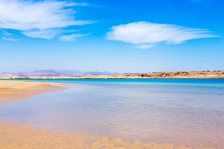 Ras Mohamed National Park: Full-Day Snorkel & White Island by Bus photo 4