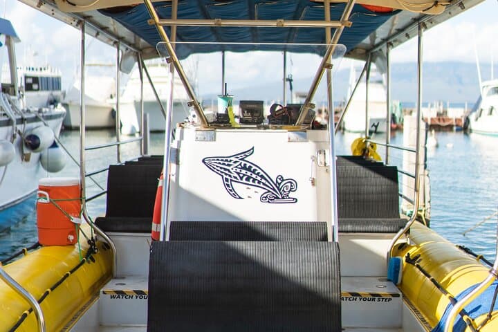 Maui Whale Watching Small-Group 2.5-Hour Whale Escape Tour from Lahaina photo 6