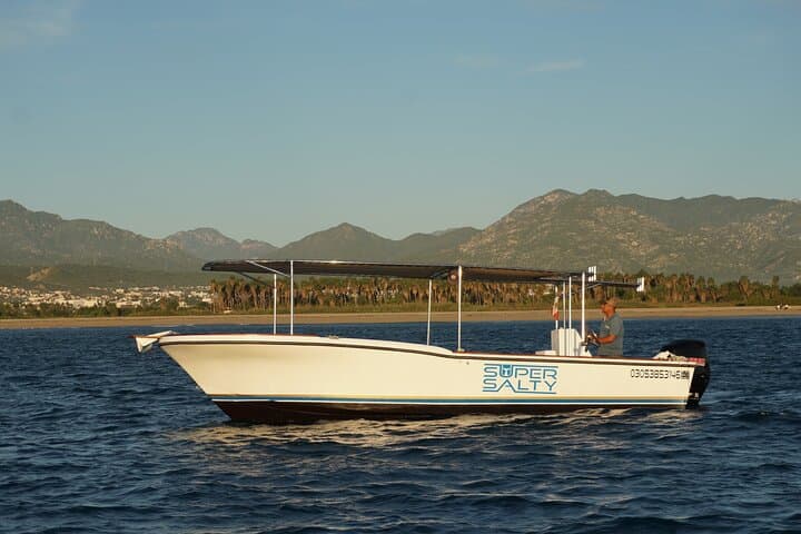 Sunrise Whale Watching in San Jose del Cabo — Small-Group Humpback & Gray Whale Cruise photo 4