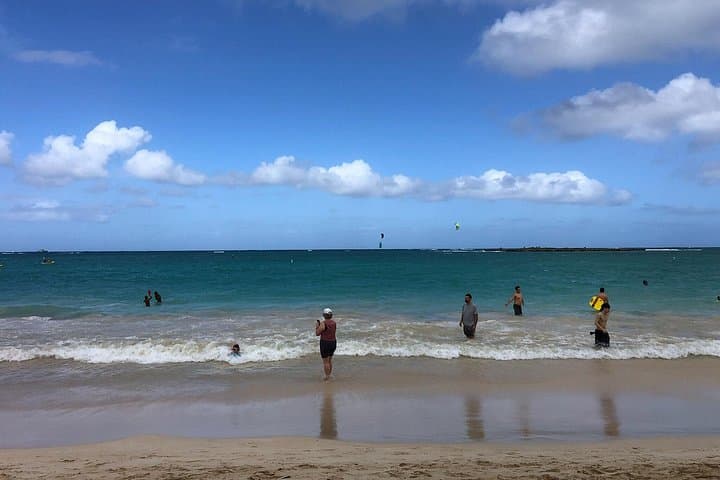 North Shore & Waimea Falls Day Tour — Swim with Turtles on Oahu photo 4