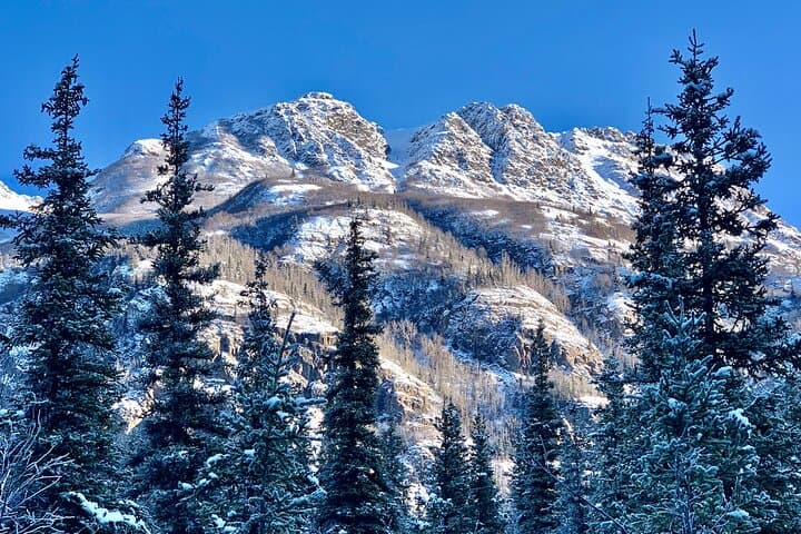 Winter Valley and Forest Hike — Eagle River Snow Walk & Barbara Falls photo 3