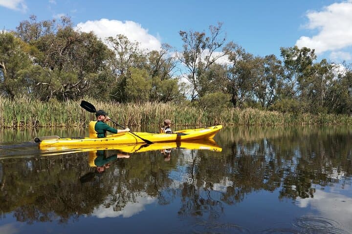 Kayak the Canning River: Half-Day Guided Paddle at Kent Street Weir photo 3