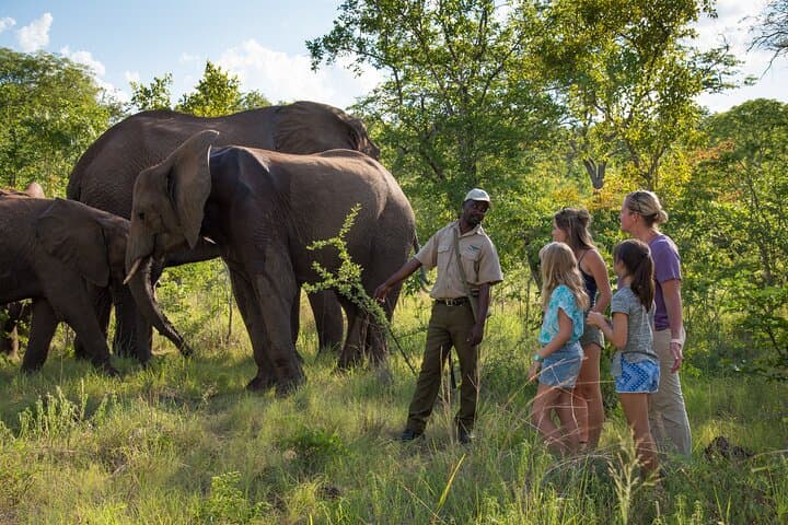 Victoria Falls Adventure Pass — Sunset Cruise plus Multi-Activity Package photo 5