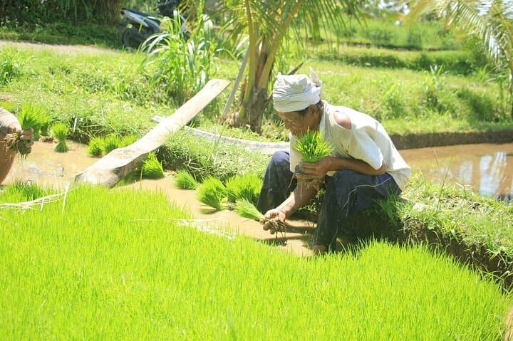 Bali Quad and Buggy Explorer Tour — Ubud Off‑Road Adventure photo 6