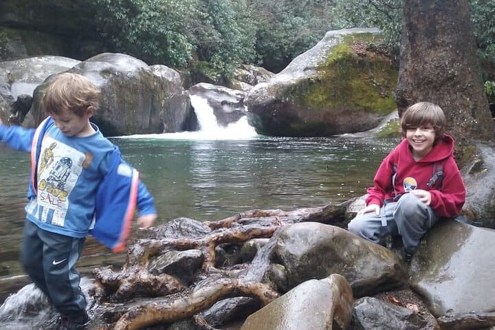 Clear Creek Falls Hike: Streamside Waterfalls in the Great Smoky Mountains photo 2