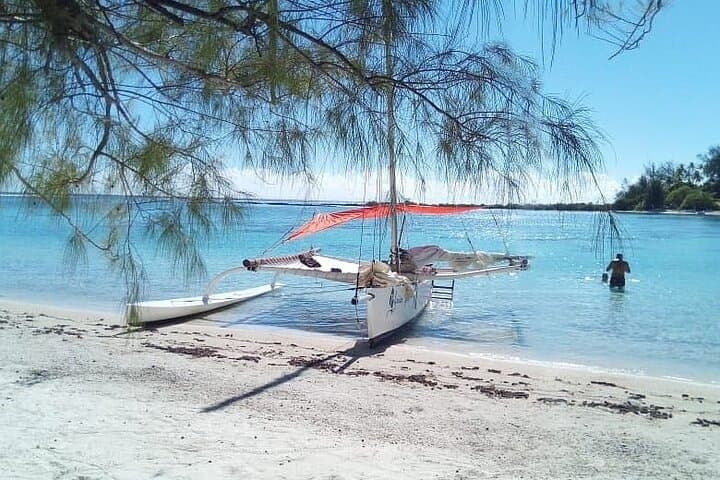 Private Moorea Half-Day Sailing Tour — Cook & Opunohu Lagoon Discovery photo 5