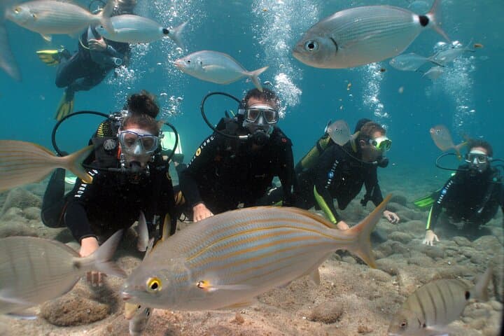 Beginner Scuba Dive at Playa Chica, Lanzarote — Guided Try-Dive in a Protected Bay photo 2