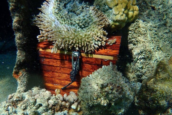 Bora Bora Reef Discovery: Private Lagoon Treasure Hunt for Kids photo 5