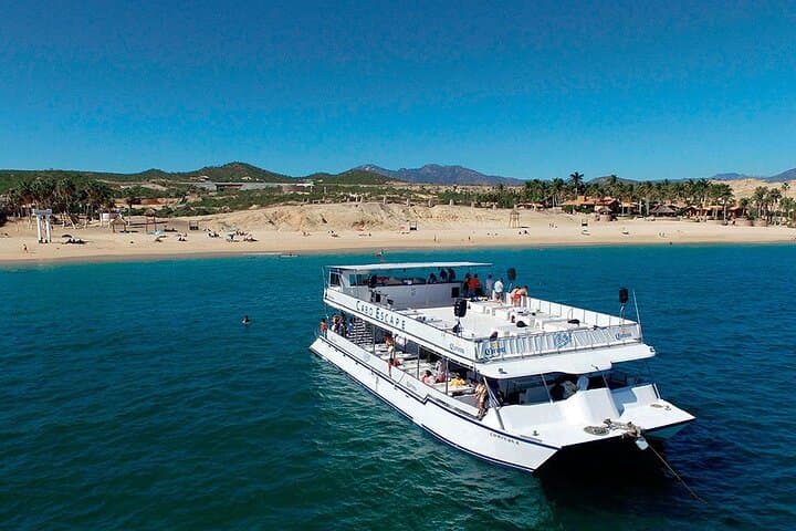 Cabo San Lucas Whale Watching: 2-Level Boat Tour with Breakfast & Drinks photo 3