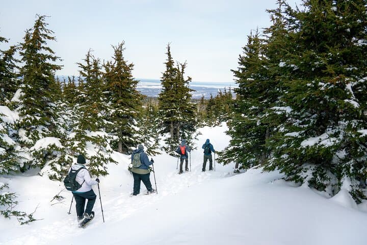 Advanced Snowshoeing in Glen Alps: Winter Tour from Anchorage