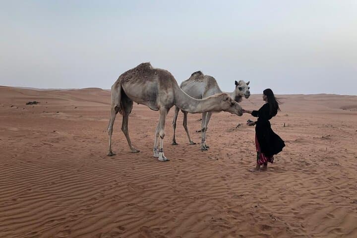 2-Day Wahiba Sands and Wadi Shab Adventure from Muscat
