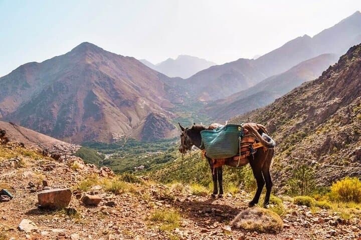 Summit Mount Toubkal: 3-Day Private Trek from Marrakech to Jebel Toubkal photo 4