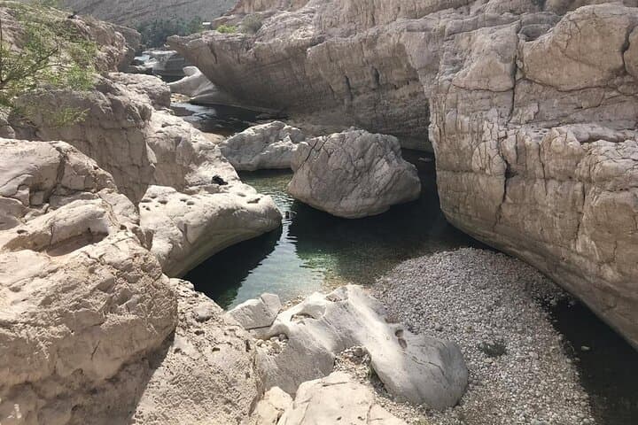 2-Day Wahiba Sands and Wadi Shab Adventure from Muscat photo 6