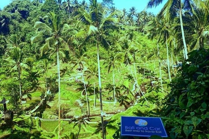 Customize Your Day in Bali: Private Driver & Full-Day Transport Service photo 6