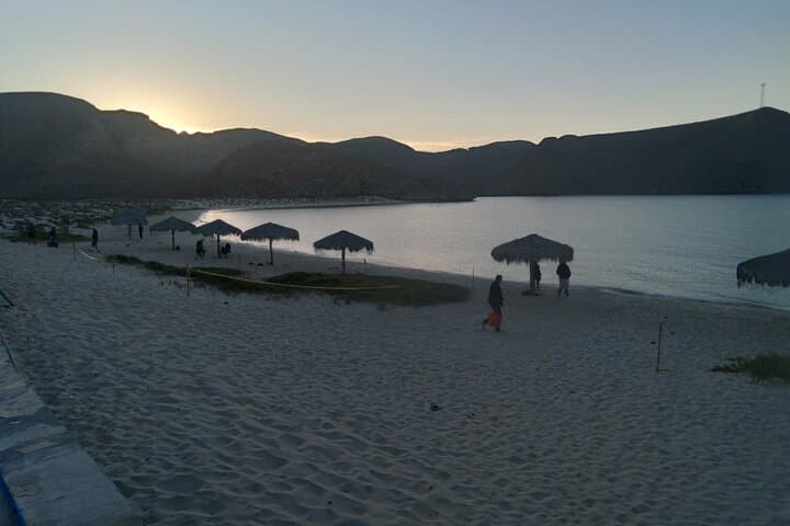 Private Full-Day Tour to Balandra Beach from La Paz photo 3
