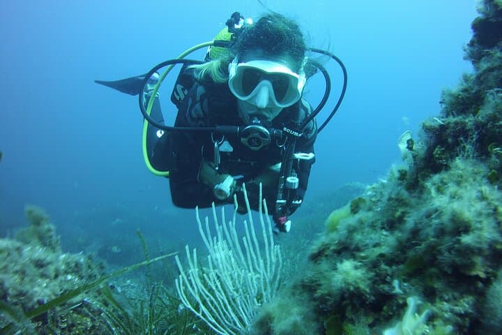 Diving Baptism in Menorca's Northern Marine Reserve: Introductory Scuba from Boat photo 4