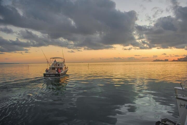 Private Half-Day Sport Fishing Charter in Cancun — Tuna, Dorado & Local Crew Tips photo 6